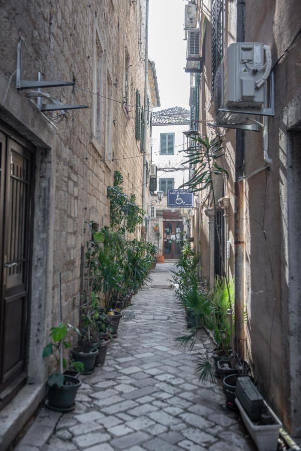 Sasha Di Cattaro - Old Town Lux Apartment Exteriör bild